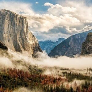 What to Do in Sequoia National Park in One Day