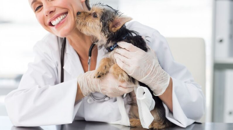 International Day of Veterinary Medicine