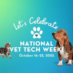 National Veterinary Technician Week