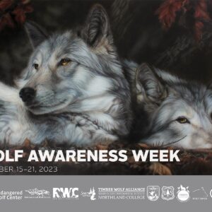 National Wolf Awareness Week