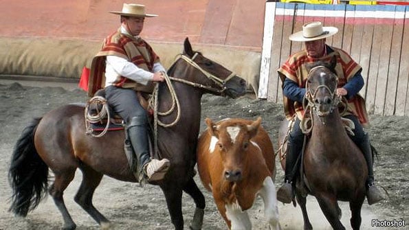 Rodeo is the National Sport of Which Country