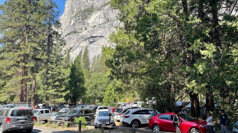 When Did Yosemite Become a National Park