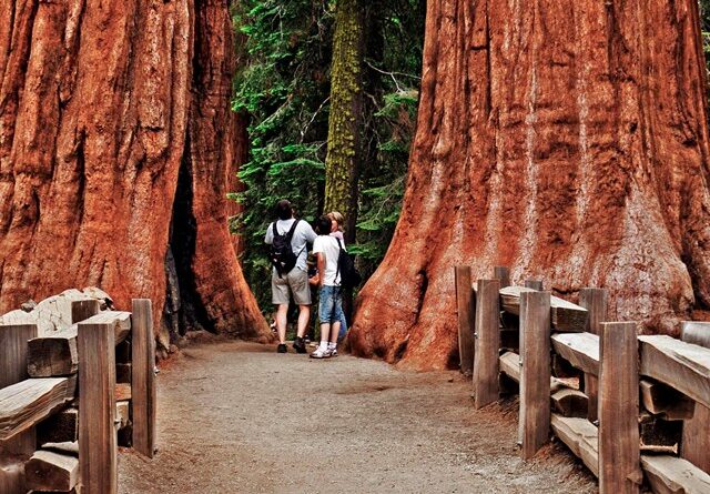 Where to Stay Visiting Sequoia National Park